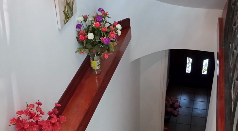 19-escalera