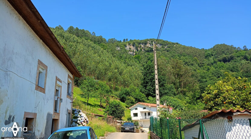vistas