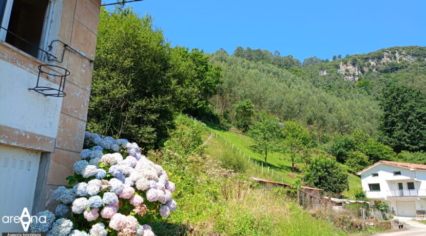 vistas3