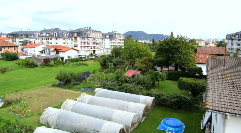 21-vistas