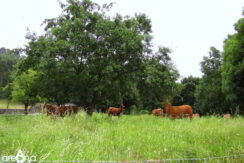 46-alrededores